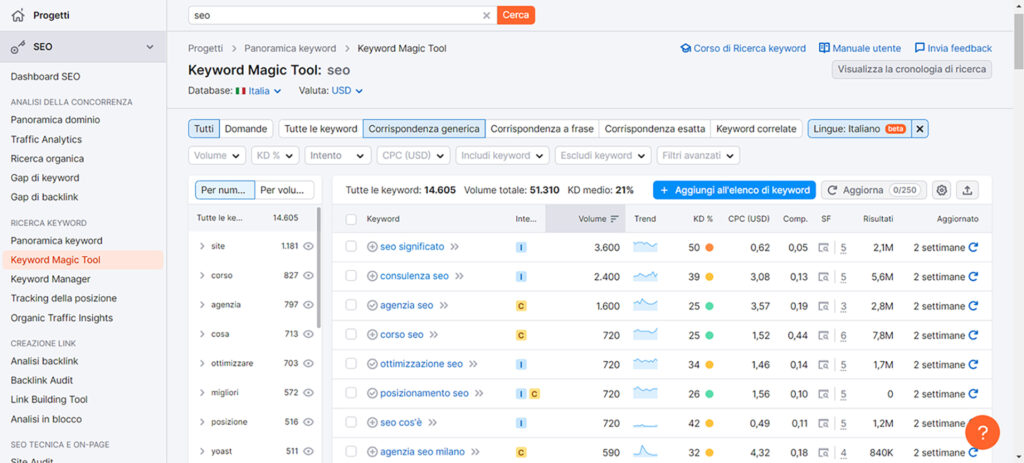 Ricerca delle parole chiave: keyword magic tool